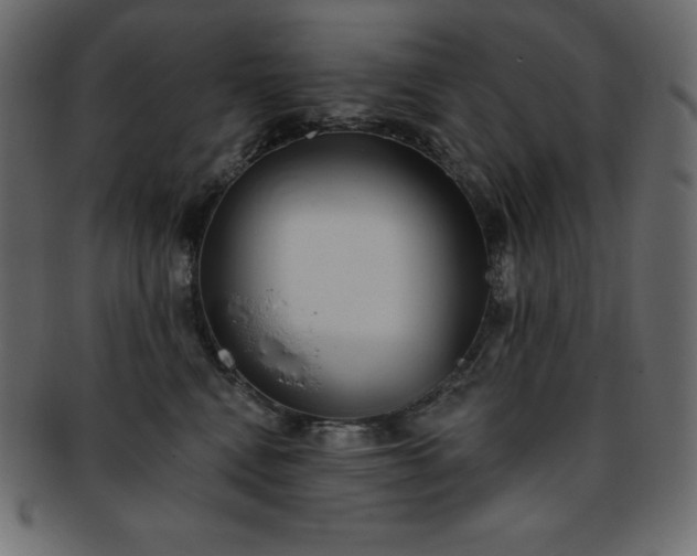 X0000093360472200710191100