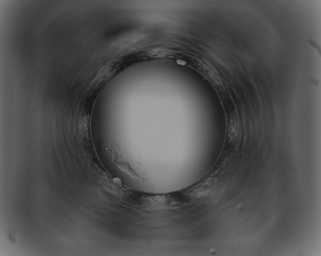 X0000093360473200710191100