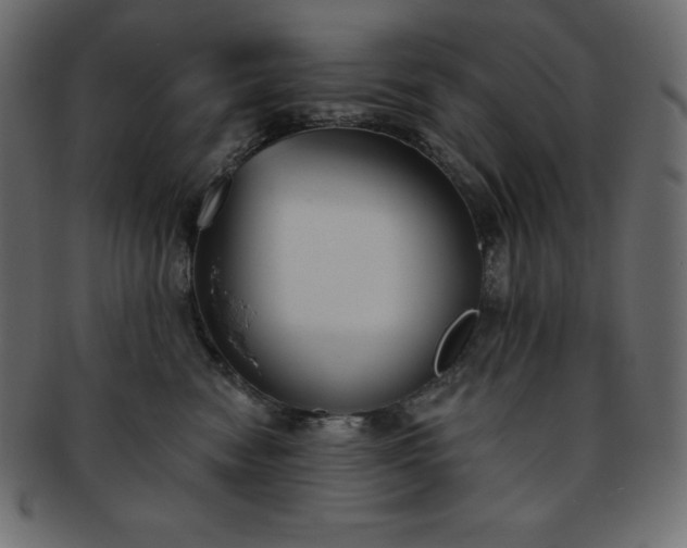 X0000093360474200710191100