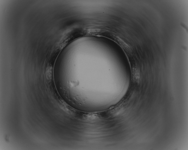 X0000093360475200710191100