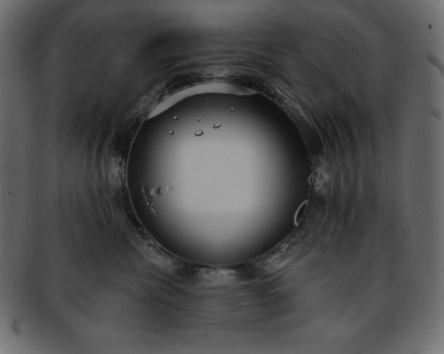 X0000093360476200710191101