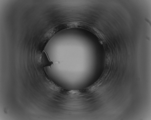 X0000093360477200710191101