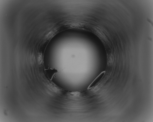 X0000093360478200710191101