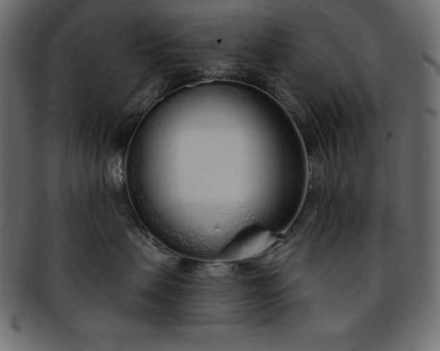 X0000093360479200710191101