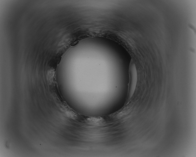 X0000093360480200710191101