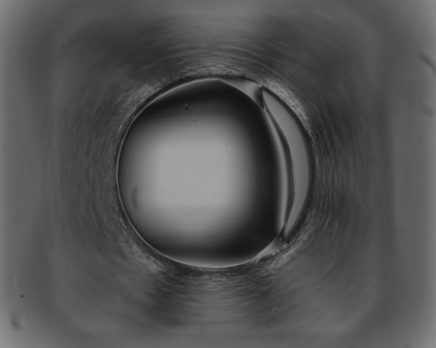 X0000093360481200710191100