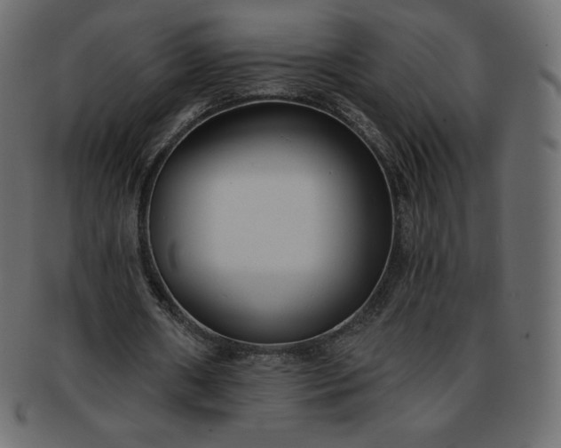 X0000093360482200710191100