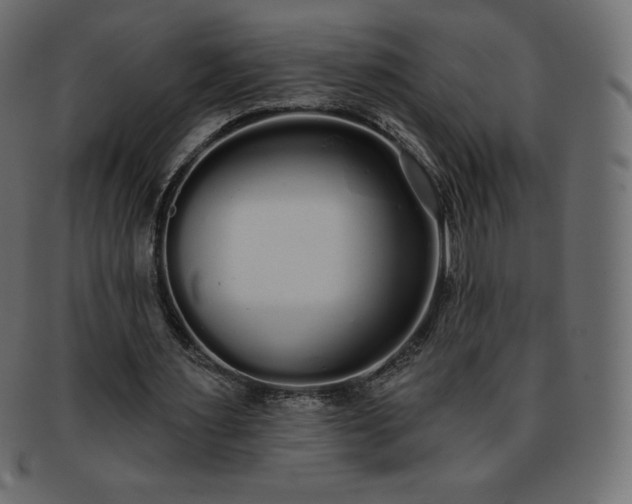 X0000093360483200710191100