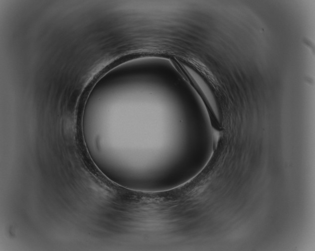X0000093360484200710191100