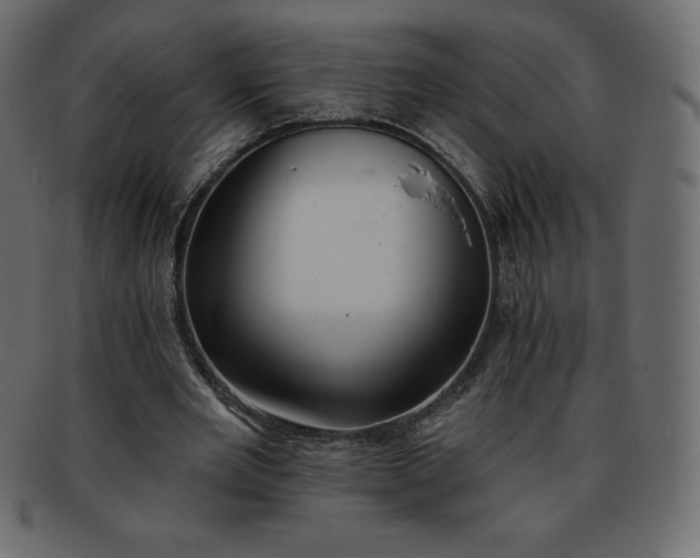 X0000093360485200710191100