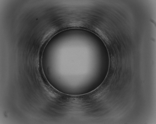 X0000093360486200710191100