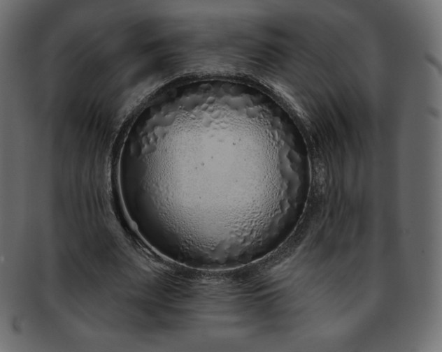 X0000093360487200710191100