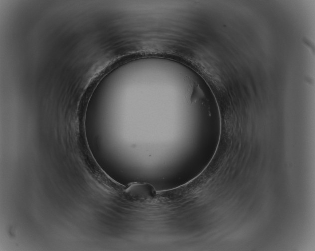 X0000093360488200710191100