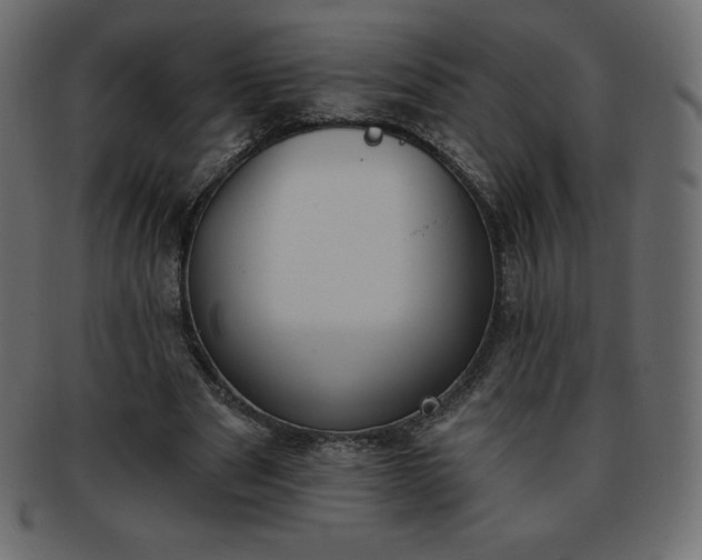 X0000093360489200710191100
