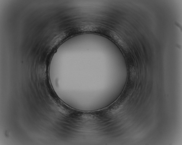 X0000093360490200710191100