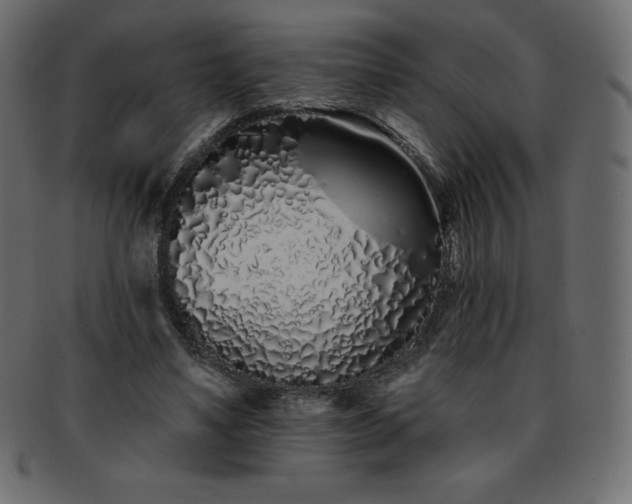 X0000093360491200710191100