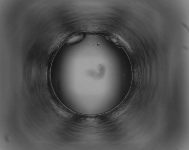 X0000093360493200710191100