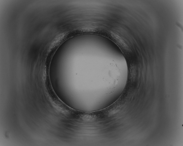 X0000093360494200710191100