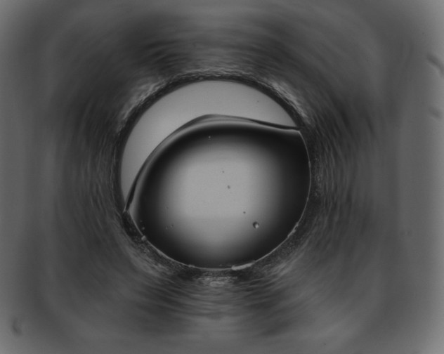 X0000093360495200710191100