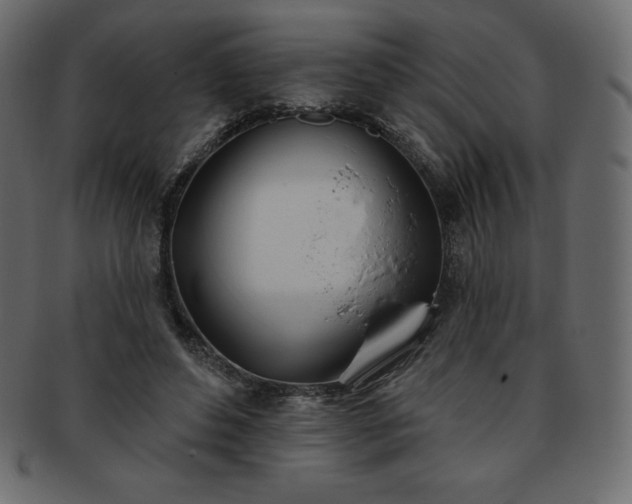 X0000093360496200710191100
