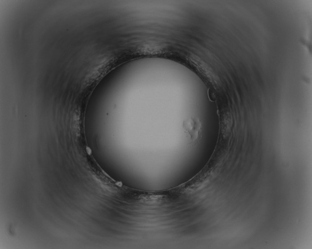 X0000093360497200710191100
