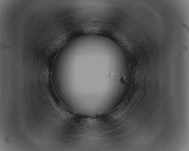 X0000093360498200710191100