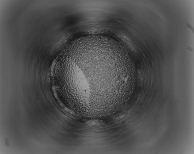 X0000093360499200710191100