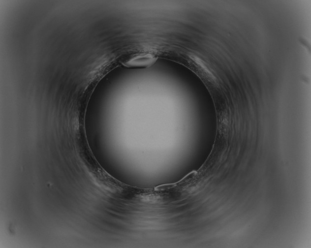 X0000093360500200710191100