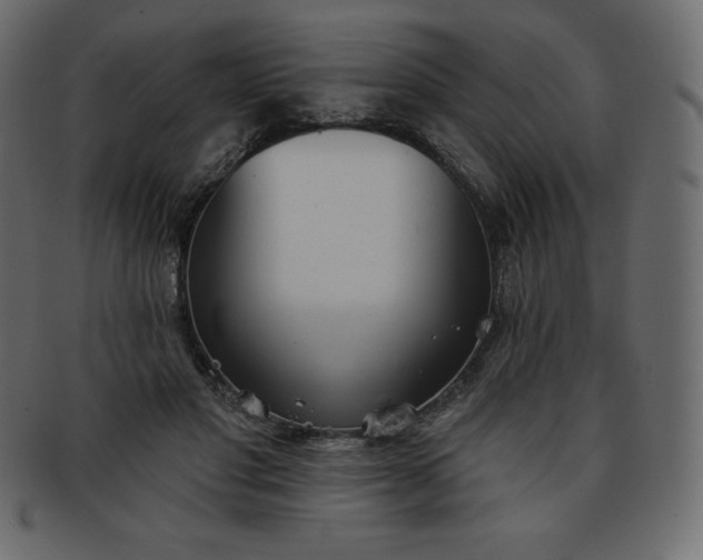 X0000093360501200710191100