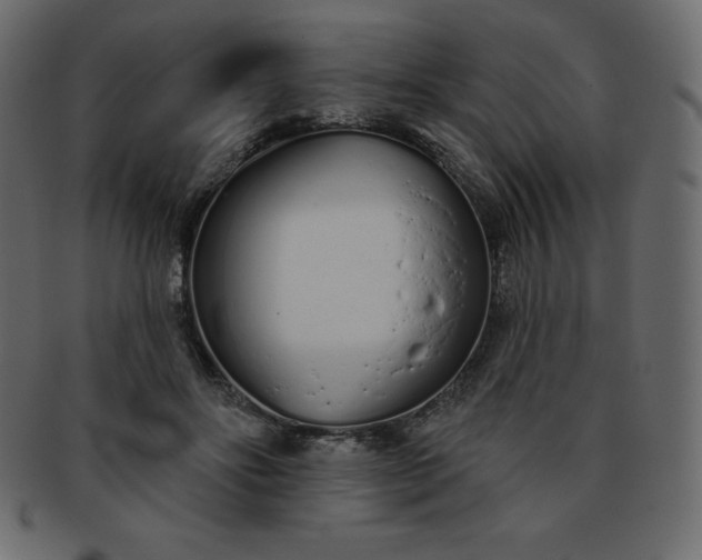 X0000093360502200710191100