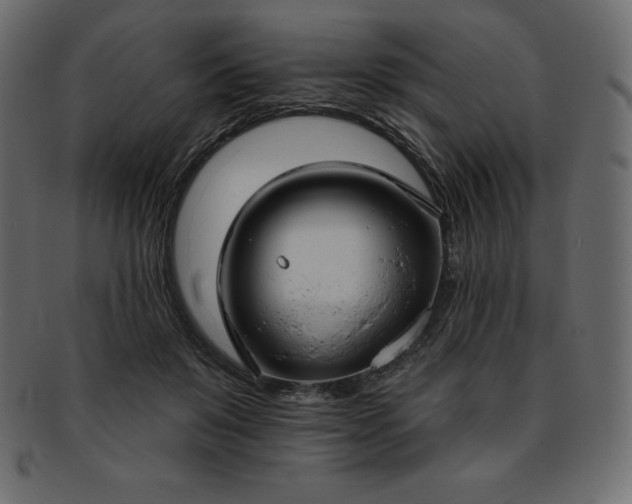 X0000093360503200710191100