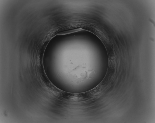 X0000093360504200710191100