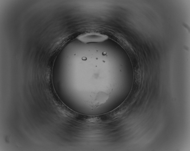 X0000093360505200710191100