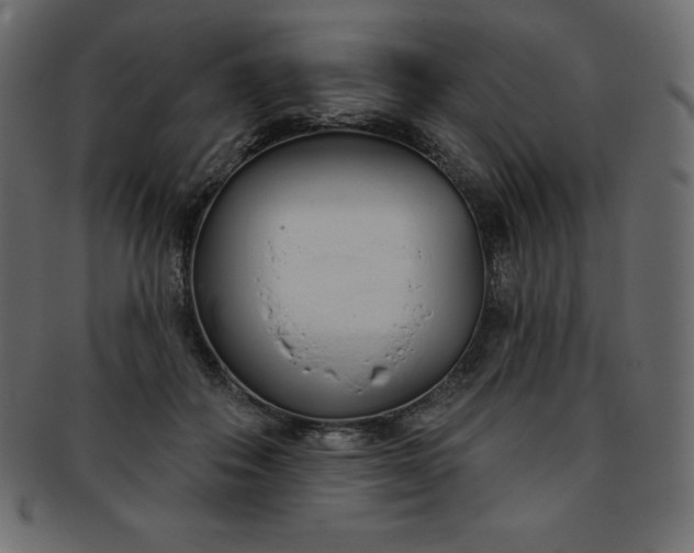 X0000093360506200710191100