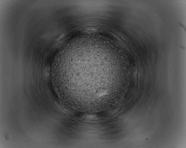 X0000093360507200710191100
