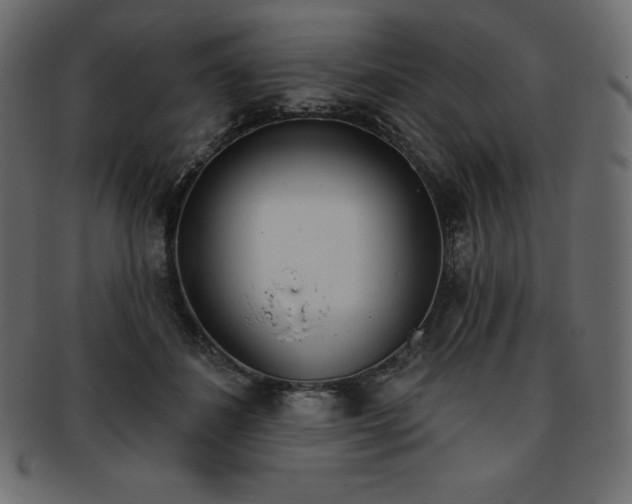 X0000093360508200710191059