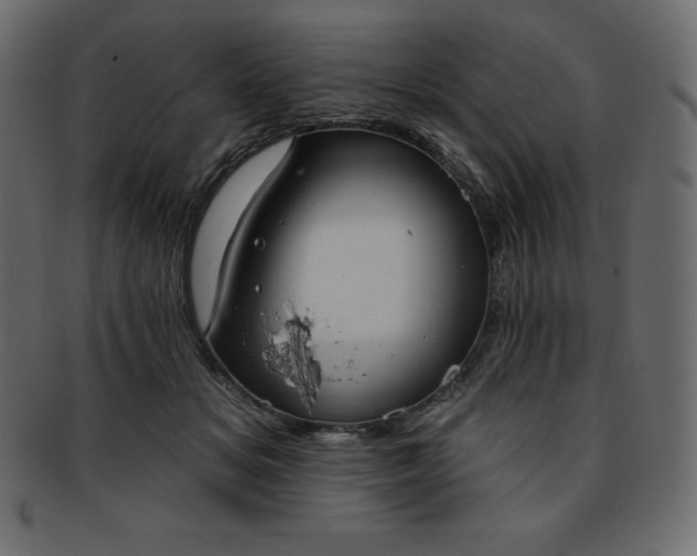 X0000093360509200710191059