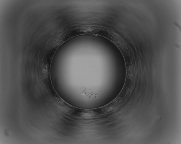 X0000093360510200710191059