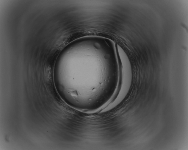 X0000093360511200710191059