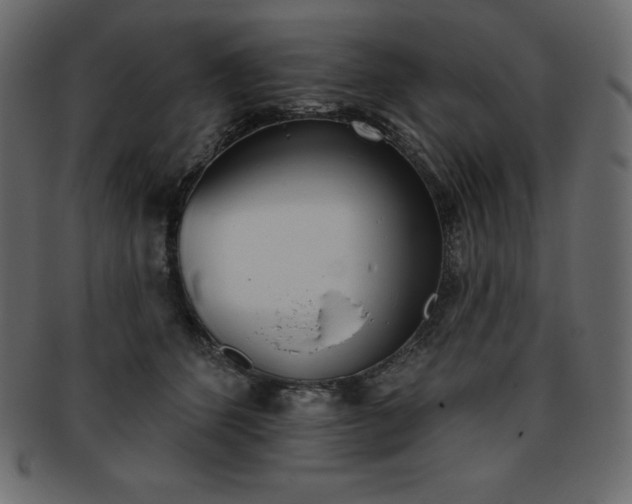 X0000093360512200710191059