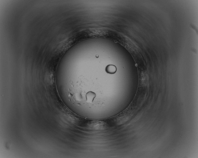X0000093360514200710191059