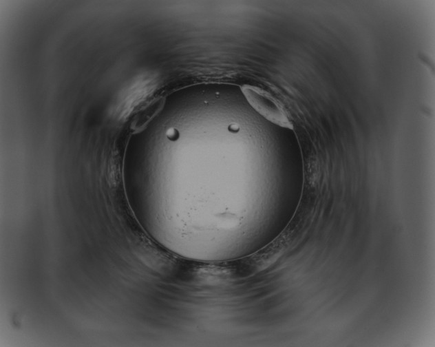 X0000093360515200710191059