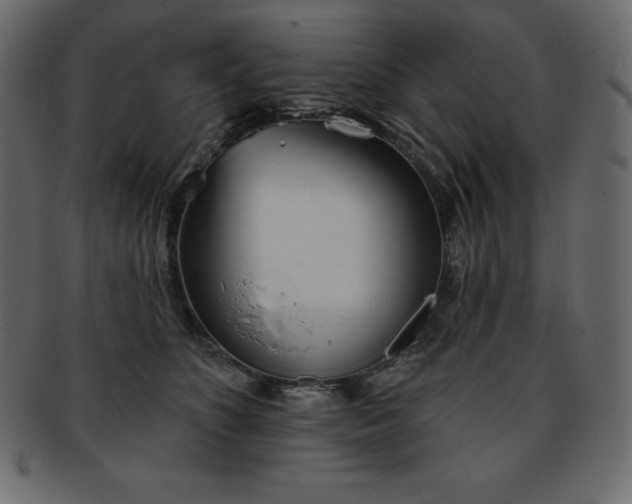 X0000093360516200710191059