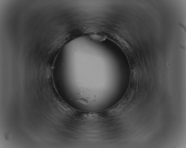 X0000093360517200710191059