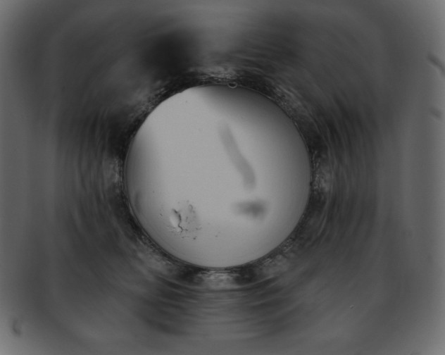 X0000093360518200710191059