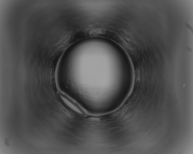 X0000093360519200710191059
