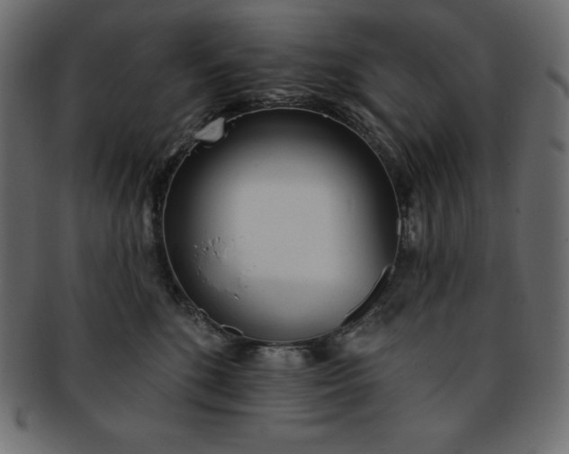 X0000093360520200710191059