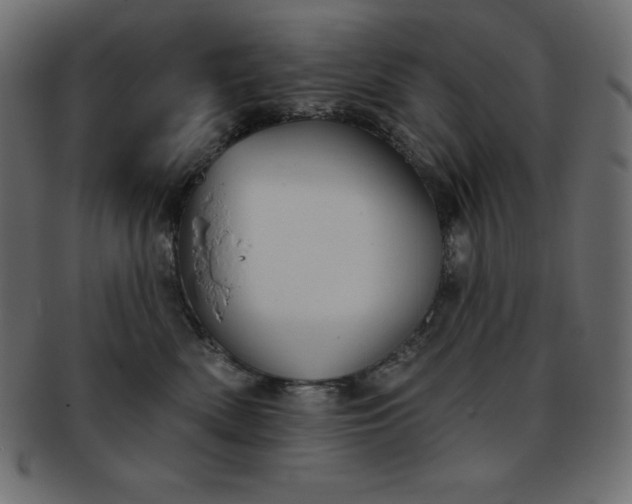 X0000093360522200710191059
