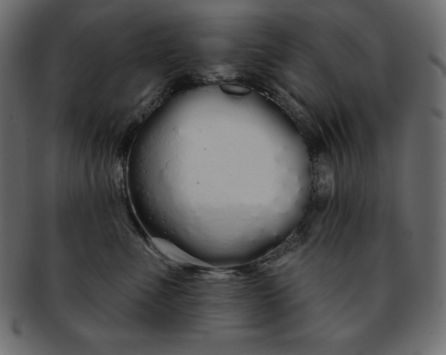 X0000093360523200710191059