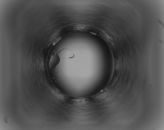 X0000093360524200710191059